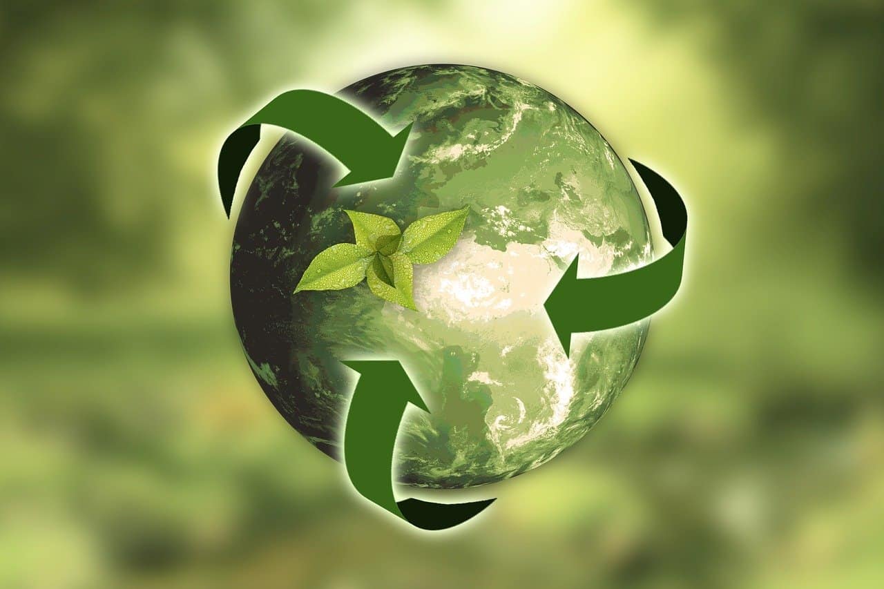 Confezioni ecologiche: come ridurre l’uso della plastica