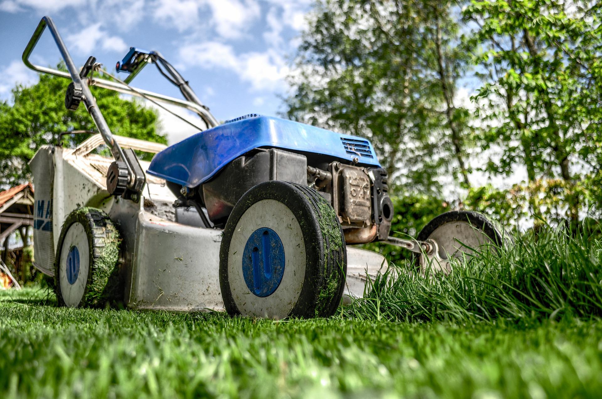 Come diventare giardiniere e acquisire esperienza