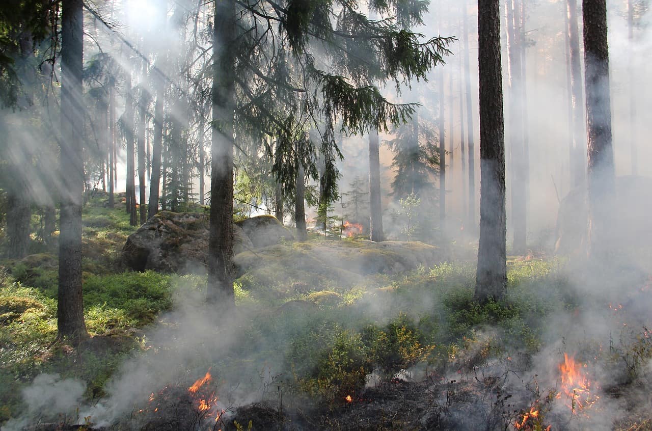 Le cause e la frequenza degli incendi in inverno